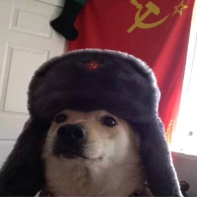 tem_morozoff's profile picture. 