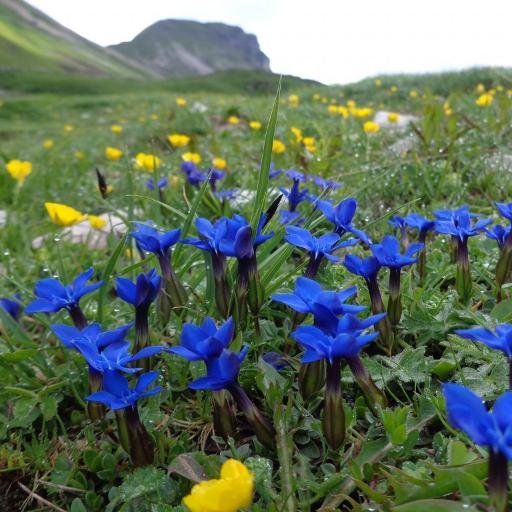 Amo profondamente le montagne, soprattutto quelle vicino a casa; ad ogni passeggiata si aprono gli occhi, la mente, il cuore