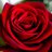 CaroleL04's profile image
