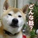 誰が読んでも、何度読んでも面白い“すべらない話を紹介。画面の奥のみなさんの笑いをお約束します。