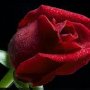 Elif Kurt - @eli_kurt - Twitter