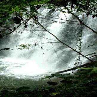 Pambayaku's profile picture. Un paraíso confortable y natural cerca de Quito Ecuador