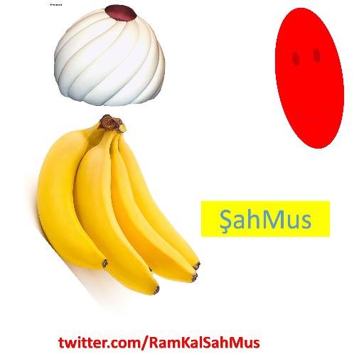 #SevgiDiyarıGırgırMekanı