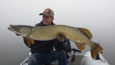Fanatieke Roofvisser | !Catch&Release! | '97 |  Westin Fishing