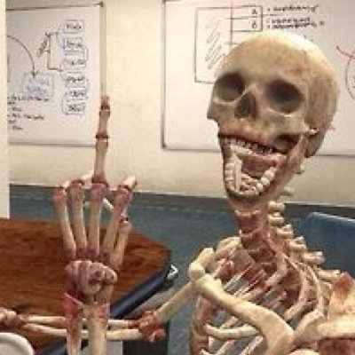 trashfuck69's profile picture. part-time gangster, full-time badass