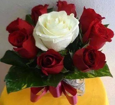 GanzaGirlien's profile picture. 