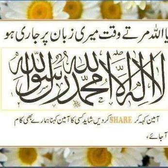 DESI1166's profile picture. 