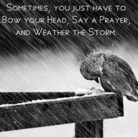 Moslempreneur (@wiramuslim) 's Twitter Profile Photo