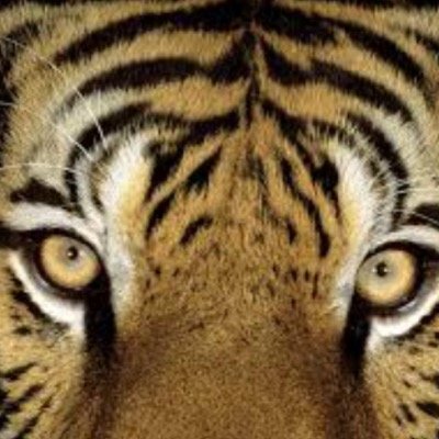 Class of 2017 Updates