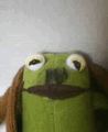 onanieCEO