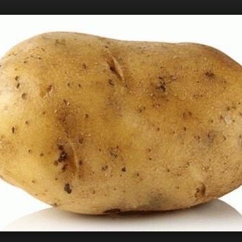 potatogeaf's profile picture. Potatoes