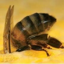 CoolScienceXYZ's profile picture. Tweets of the Coming Soon http://t.co/jONOTMHTN3