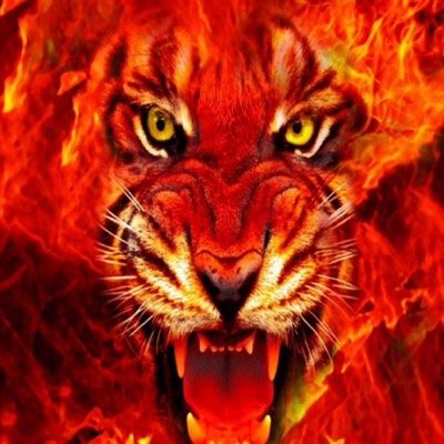 ScetchX's profile picture. 