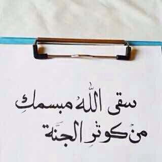 ryad_7's profile picture. أفعل ماتخافه وأقتحم ما تخشاه فبدون الشجاعة لن تعرف معنى الحياه ♡ - بأختصار أقدح #CS