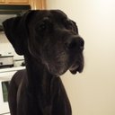 Tim Beaton - @TimBeaton1966 - Twitter