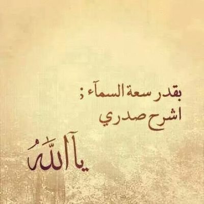 enassib123's profile picture. 