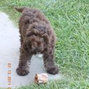 Jim Millican - @jim_millican - Twitter