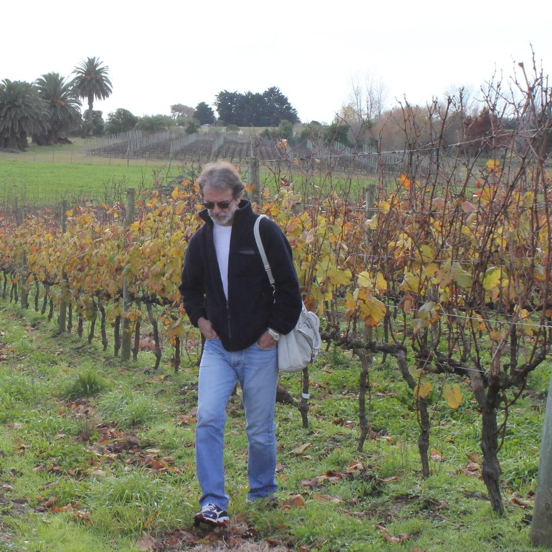 marcocaete's profile picture. 