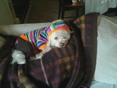 jesicabagodonut's profile picture. Good Company Great Food Exceptional Wine Many Laughs and My Dog