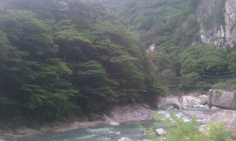 nasaneo1's profile picture. 