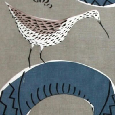 Clara Curlew