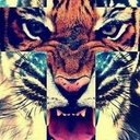 michael quayle - @lucid_king - Twitter