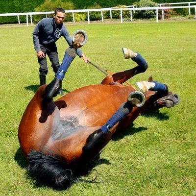 Beyond Measure racing stables LLC
