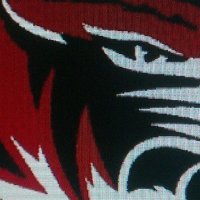 Sarah Mueller (@sarahmu40782129) 's Twitter Profile Photo