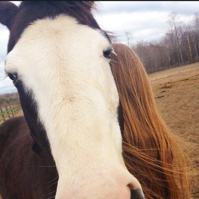woking student by day, demon pony rider by night