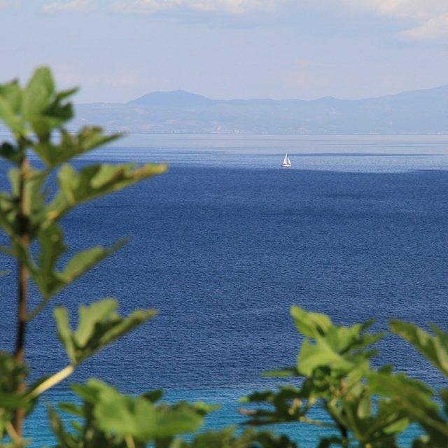 oceanis6's profile picture. 