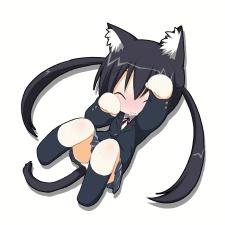 That one kitty