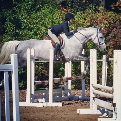 zone 1|working student|eventing/junior equitation/everything else