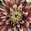 Cleo Wade - @cleo_wade - Twitter