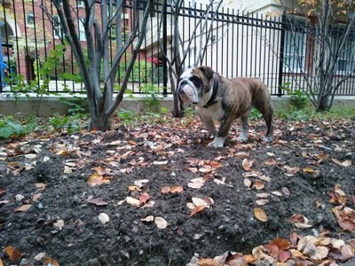 dcDaHomie's profile picture. ⭕MI, EC⭕MI, NFTs, VEVE.... AND OTHER ST⭕FF!!!  🚀 🚀