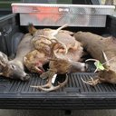 Gavin Schultz - @DeerHuntingWI - Twitter