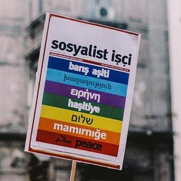 sosyalistisci's profile picture. 