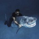 Don Bingham - @don_bingham - Twitter