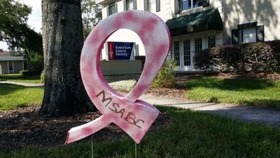 MakingStridesOrlando