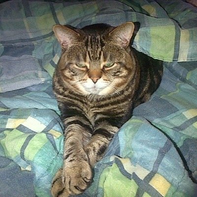 lisa_ogilvy's profile picture. 