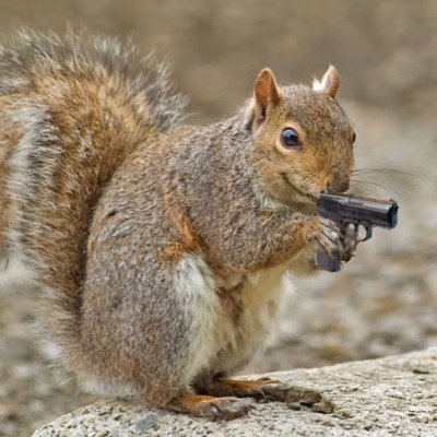 Campus Rascals since 1869. Now you can just @ me. Looking for my Sandy Cheeks
