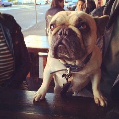 scarlettbwilson's profile picture. 