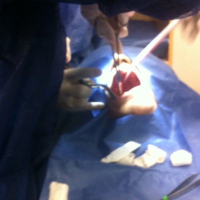 ODONTOLOGIA INTEGRAL Y REGENERATIVA