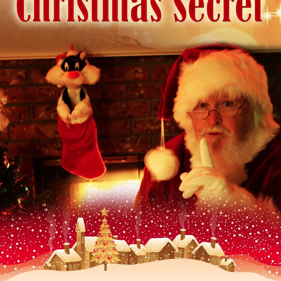Its Christmas Eve and Santa & his reindeer are making their rounds when the reindeer spot a small black kitten stranded in the snow.  Can they rescue him?