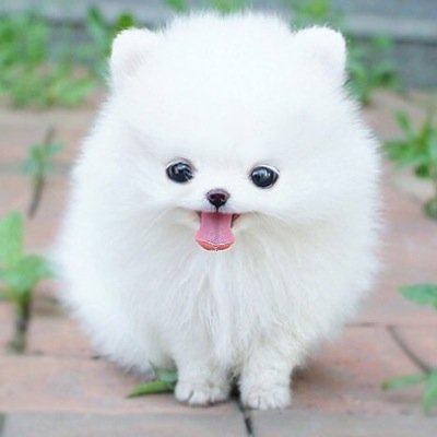 規制されたときに使うアカウント