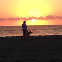 Amanda Ault - @alault Twitter Profile Photo