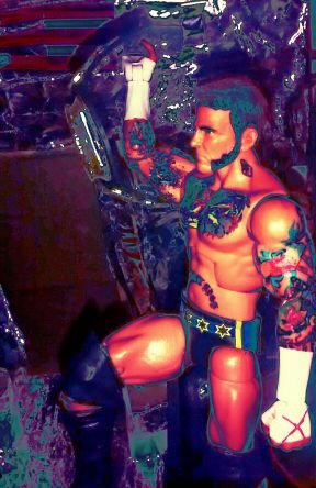 huge wwe fan. i love wwe and all fighting/wrestling games. also a wwe figure collector