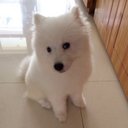 Karl Yang - @KarlYang8 - Twitter