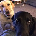 Casey York - @caseyryork - Twitter