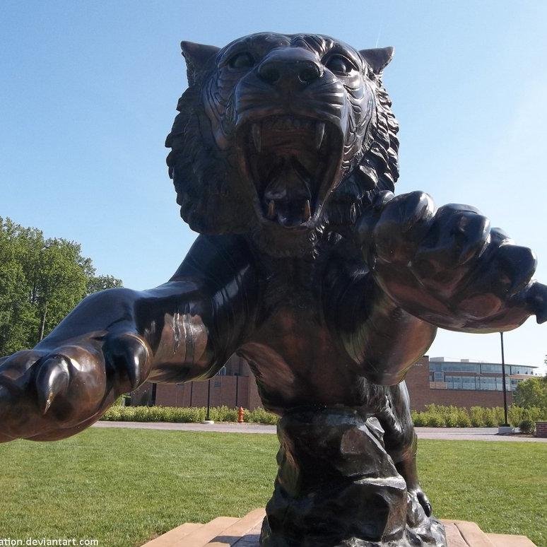 the tiger sees all