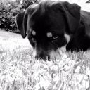 Bobbi Howard-Muir - @BobbiHowardMuir - Twitter